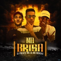 Na Brisa (feat. MC 3L & Mc Mingau) - Single - DJ PBeats