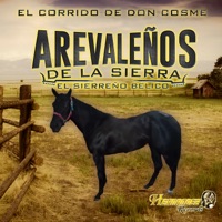El Corrido de Don Cosme - Single - Arevaleños De La Sierra (De Tony Arevalo)