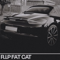 R.I.P. Fat Cat - Single - Thato Saul
