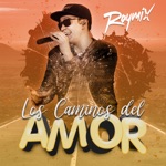 Raymix - Los Caminos Del Amor
