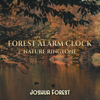 Nature Alarm Clock - Joshua Forest