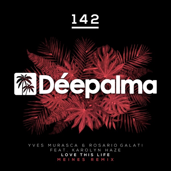 Love This Life (Meines Remix) [feat. Karolyn Haze] - Single