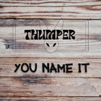 You Name It - Single