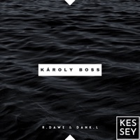 Károly Boss - Single - R.Dawe & Dankl