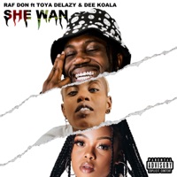 She Wan (feat. Dee Koala & Toya Delazy) - Single - RAF DON