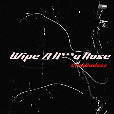 Wipe a Nigga Nose - Single