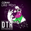 Like Woo - Single