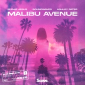 Malibu Avenue artwork