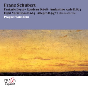 Franz Schubert: Fantasie, D. 940, Rondeau, D. 608, Andantino varié, D. 823, Eight Variations, D. 624, Allegro, D. 947 "Lebensstürme"