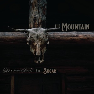 The Mountain - Single