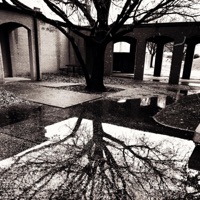 Let Me Know (feat. wzrd) - Single - HEATHCLIFF