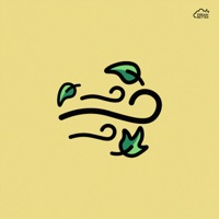 Path of the Wind - Single - flamingo zamperoni & Brad Enbata