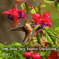 Om inte jag fanns (Jättens Låt) [skånska] - Single - Nimt