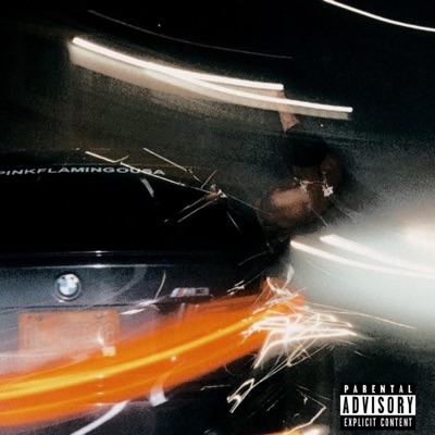 Pitstop (feat. Saevus & Vallad) - Single