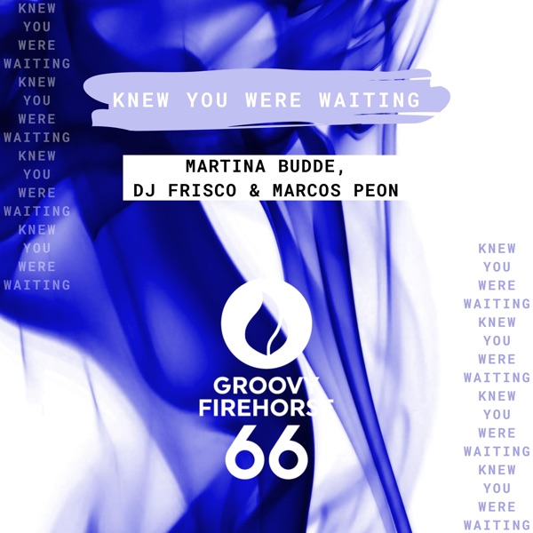 Knew You Were Waiting - Single