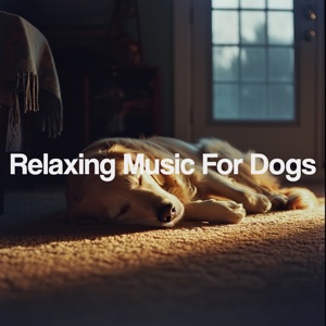 Relaxing Music for Dogs