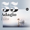 Giovanni Antonini - Oboe Concerto in D Minor, Op. 9 No. 2: II. Adagio