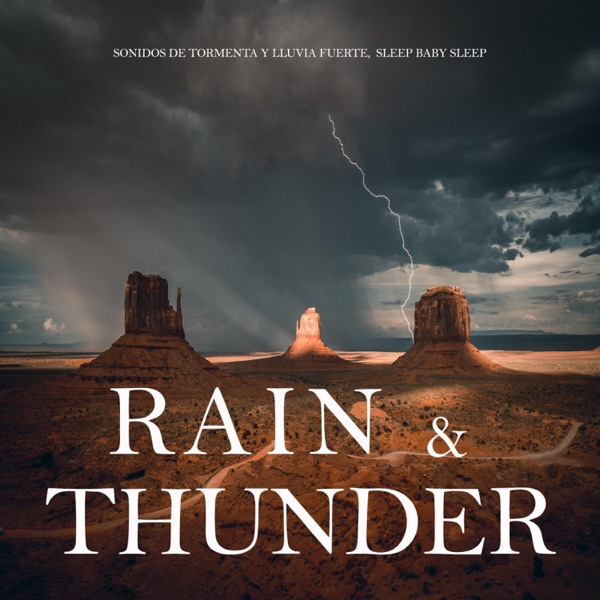 Rain and Thunder Sounds