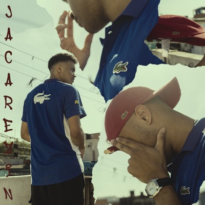 Jacarezin (feat. Luan Fox) - Single