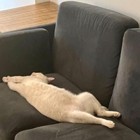 Now&Later - Single - natureplayer