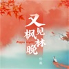 又见枫林晚 - Single