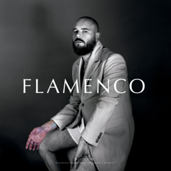 Flamenco. Mausoleo de Celebración, Amor y Muerte - Niño de Elche Cover Art