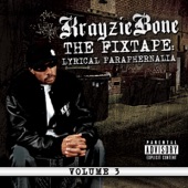 Krayzie Bone - Scrap The Block