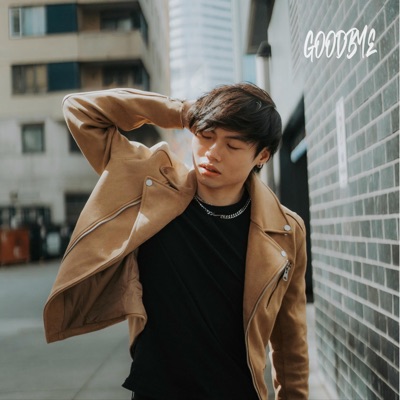 Goodbye - Single