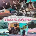 Teu Canto