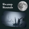 Swamp Sounds - Nighttime Ambience