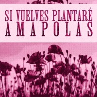 si vuelves plantaré amapolas - Single - Engel