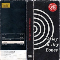 Valley of Dry Bones - EP - Stik Figa & Conductor Williams