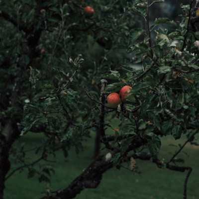 Nightcore Zeus - Nightcore Blame It On The Kids