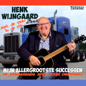 Mijn Allergrootste Successen - Henk Wijngaard