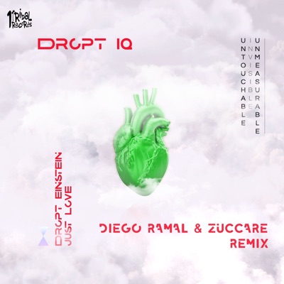Dropt Einstein (Just Love) [Diego Ramal & Zuccare Remix] - Single
