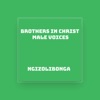 Brothers In Christ Male Voices