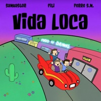 Vida Loca - Single - Samuastor, Fiti & Ferre S.M.