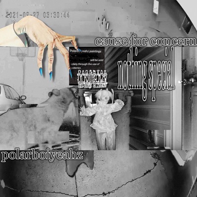 CAUSE FOR CONCERN: nothing special - EP