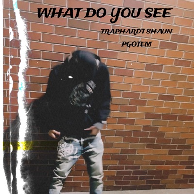 What Do You See (feat. PGotem) - Single