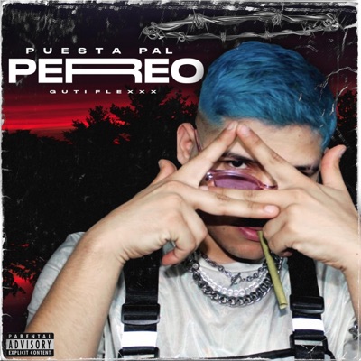 Puesta Pal' Perreo - Single