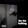 Do No Telling - Single