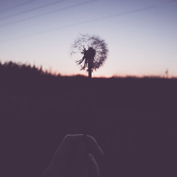When the Birds Come Back - EP