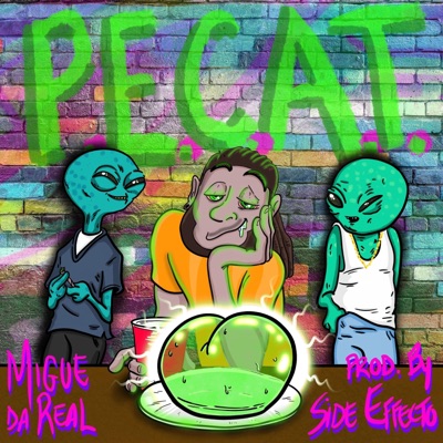 P.E.C.A.T. - Single