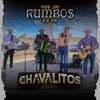 Por Los Rumbos De P.U. (En Vivo) - Single