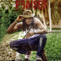 Praises - Single - WALE F GH