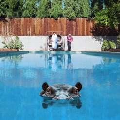 HIPPOPOTAMUS cover art