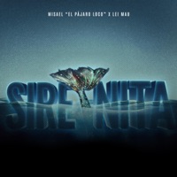 Sirenita (feat. Lei Mau) - Single - Misael 