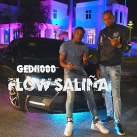 Flow Saliña Gedi1000