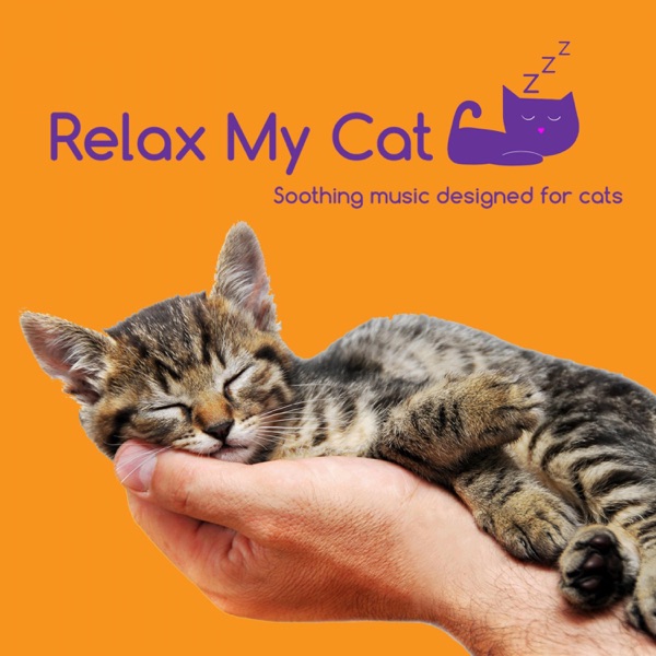 Relax My Cat - Music to Help with Cat Anxiety