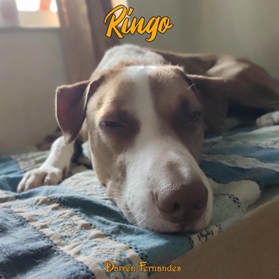 Ringo - Single